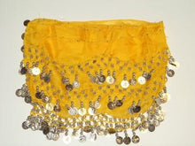Load image into Gallery viewer, C128 Belly Dance Coin Skirt
